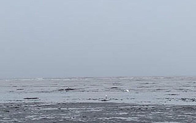 Navigateur St-luce - 2e Pont 22