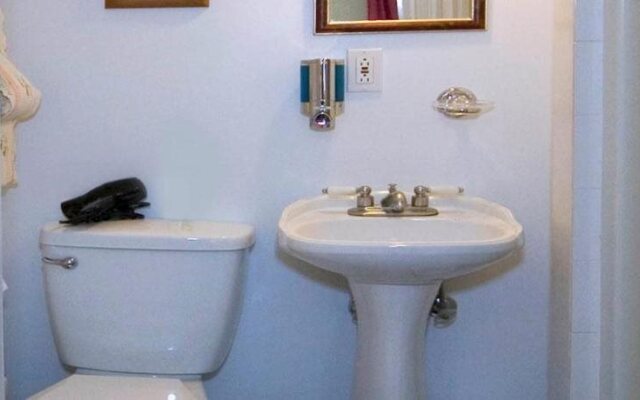 Une Fleur au Bord de l'Eau