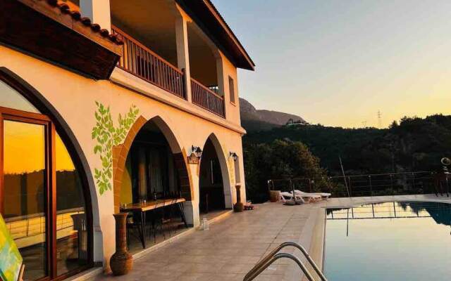 "villa She Ruz "