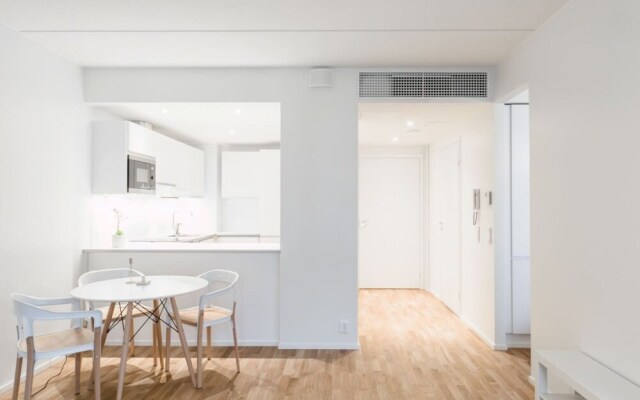 Scandinavian Apartments in City Center