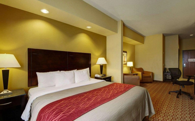 Comfort Inn & Suites Donna near I-2