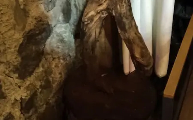 Hotel Glamping CM Mindfulness