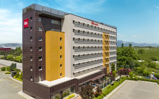 Ibis Bursa