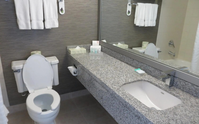 Toronto Don Valley Hotel and Suites