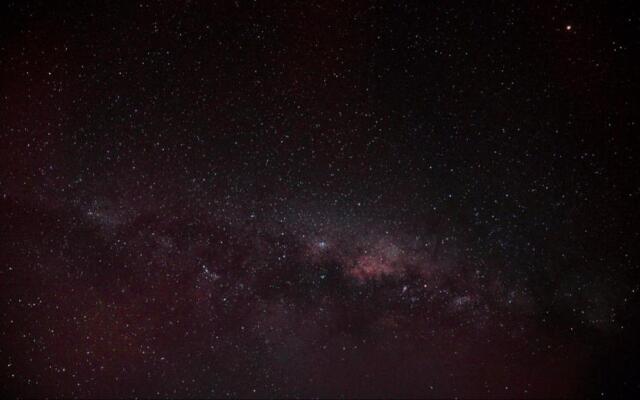 Tree House Lodge Bed & Breakfast