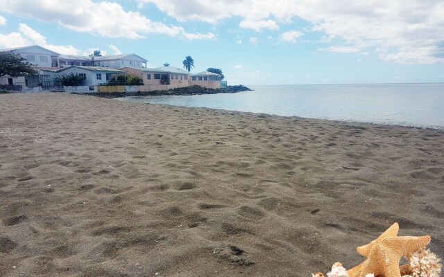 Pinneys Beach Hotel Nevis