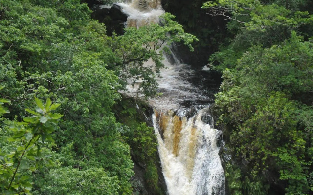 The Hafod Hotel