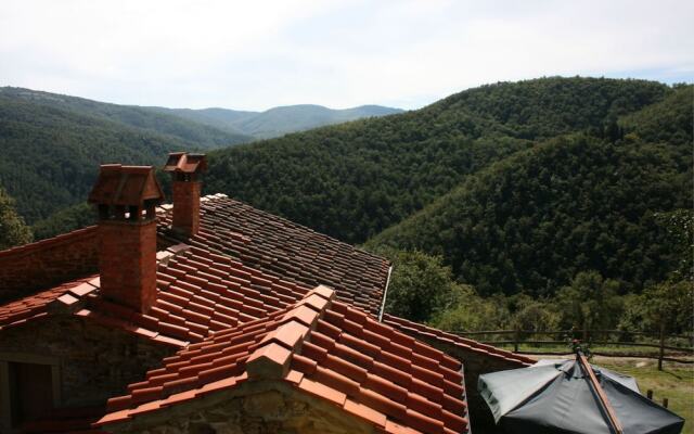 Tribbiano