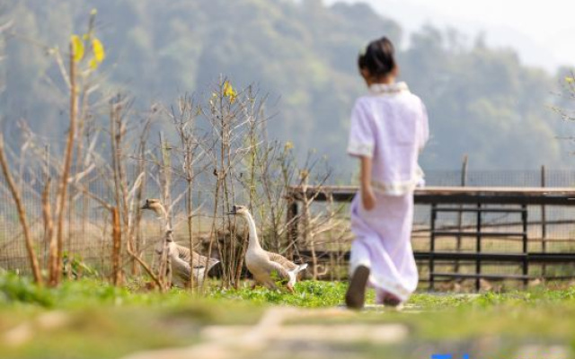 Linghu Bieyuan Homestay