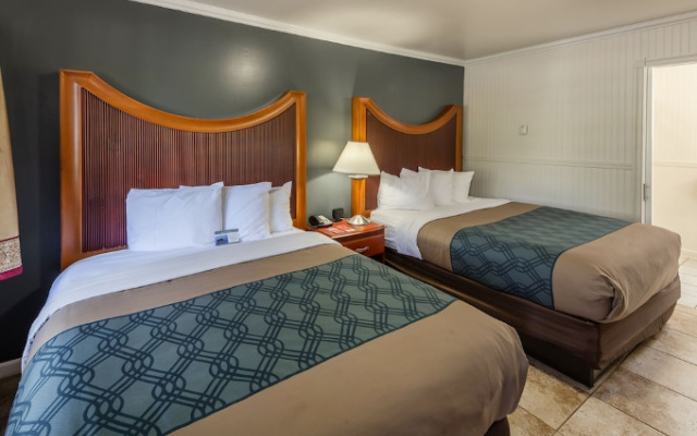 Pine Tree Chalet by RedAwning