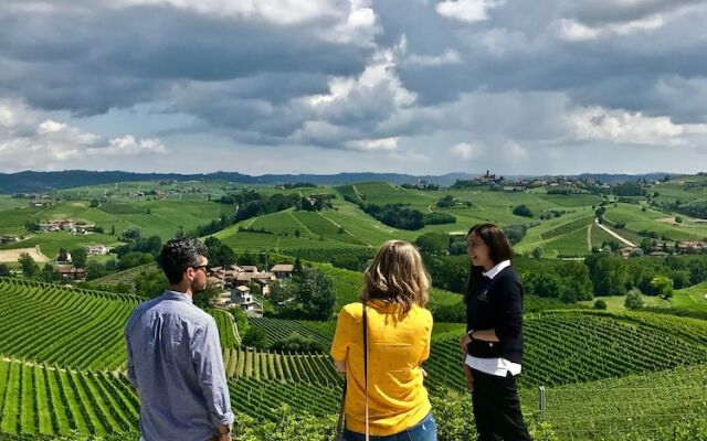 Villa Langhe in Castiglione Falletto
