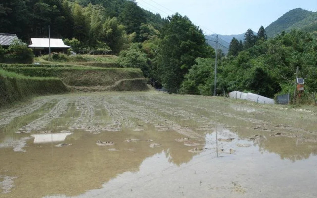Tentsuku Guest House
