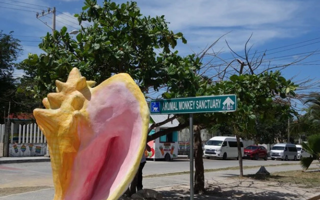 Itza Hotel Akumal - Hotel - Hostel