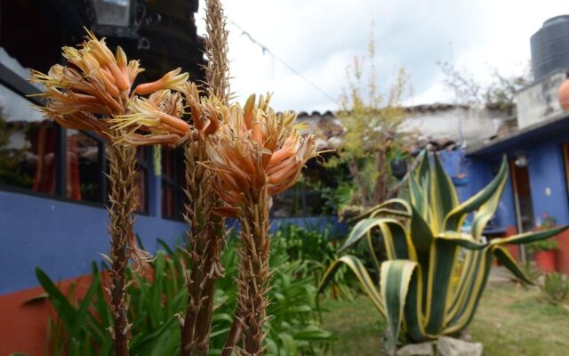 Hostal El Rincón de los Camellos