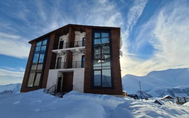 Gudauri Winter House