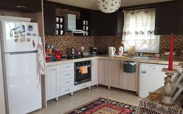 BO062 by Villaofsummer