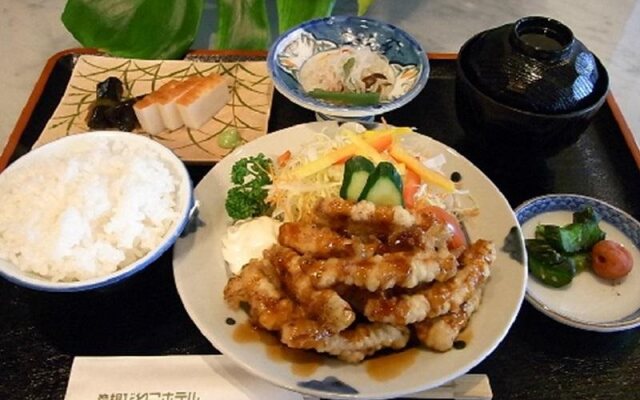 Hikone Biwako Hotel
