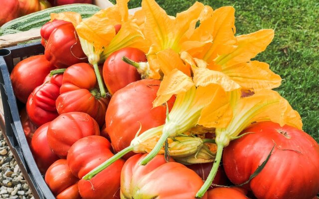 Renovated Farmhouse Near Florence