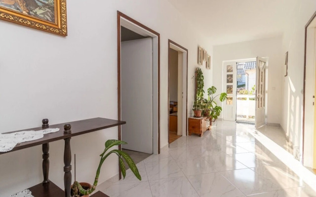 Rezikica - Green Oasis - A2