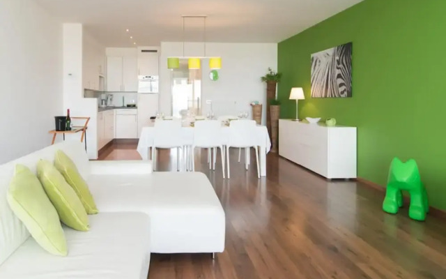 South Facing Apartment With Terrace