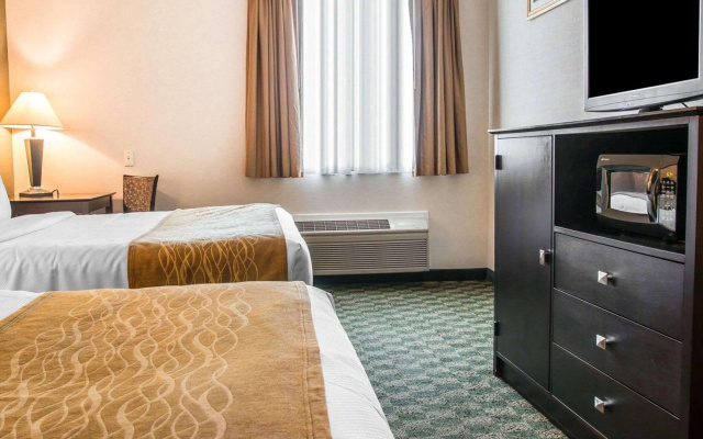 Comfort Inn Whitehall near Michigan's Adventure