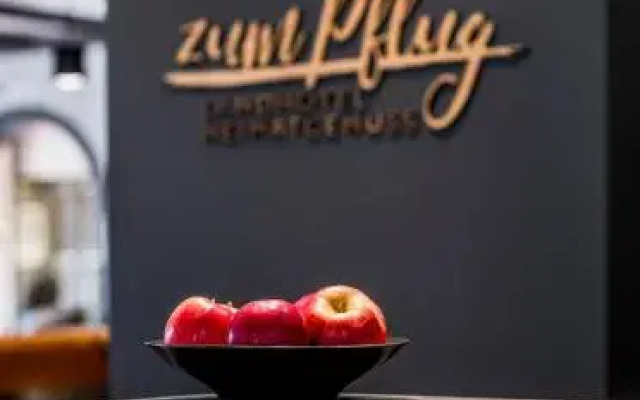 Zum Pflug Landgasthof Hotel