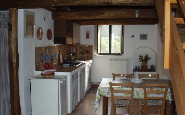 Codavolpe Giardino di Tea