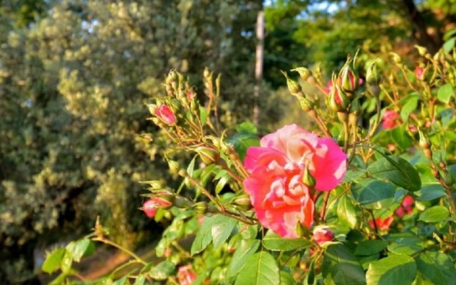 Snug Holiday Home in Castagneto Carducci near Thermal Bath