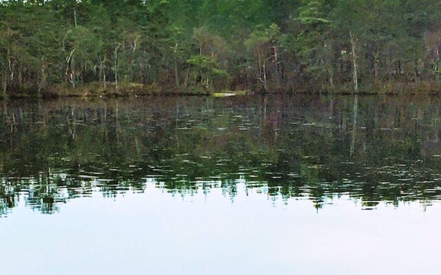 3 Person Holiday Home in Norrköping