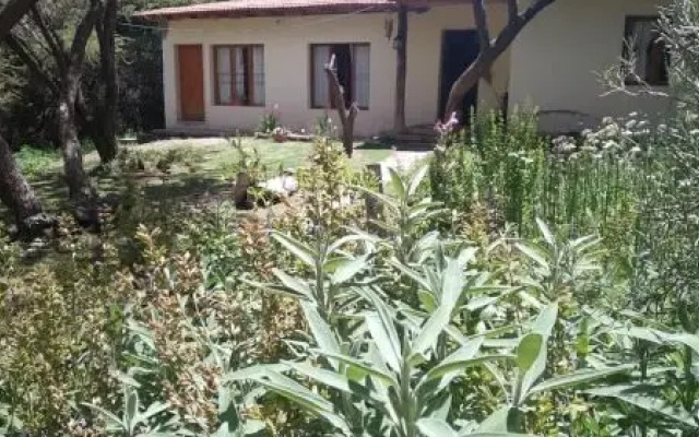 La Haciendita Hostel