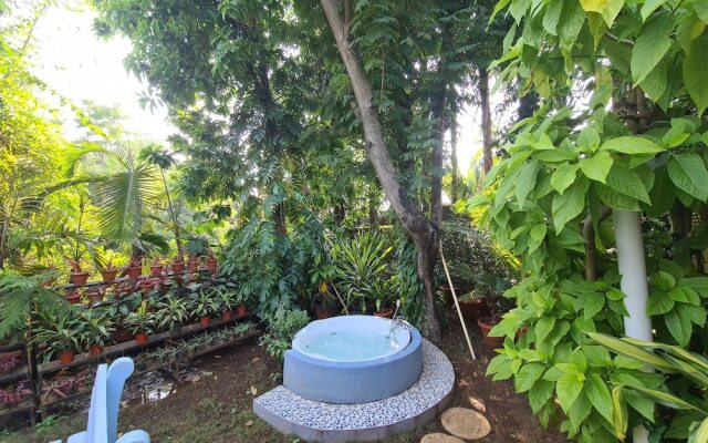 Peace Lily Cottage