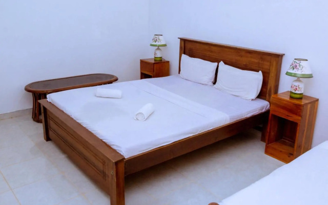 Rainforest River Edge