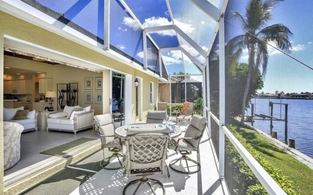 Bald Eagle Home #62266