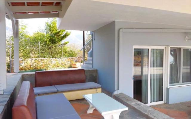 Tarmaros - Families & Groups