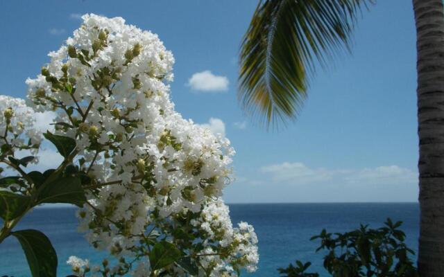 Bon Bini Lagun Curacao