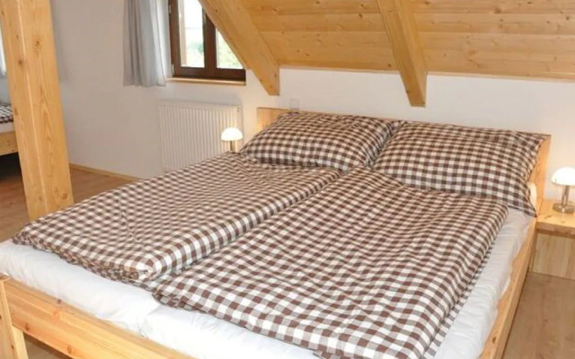 Spacious Holiday Home In Dlouhý With Sauna