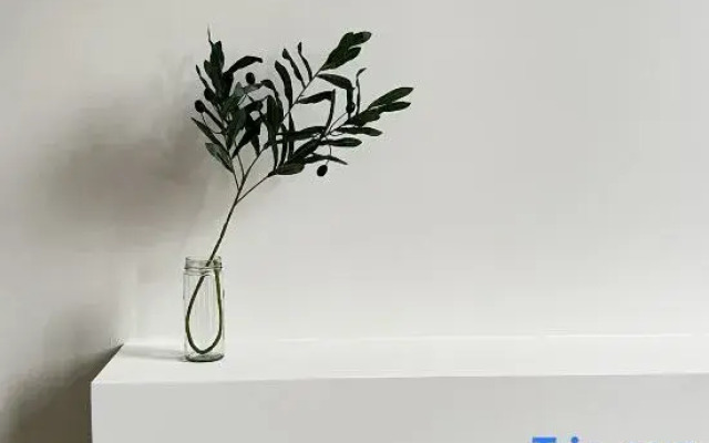 xianjulazy house guesthouse