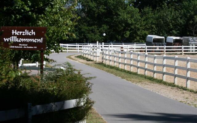 STöRTEBEKER APPARTEMENTS - "STöRTEBEKER PFERDEHOF"
