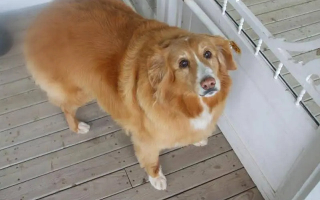 The Inn at St. Peters