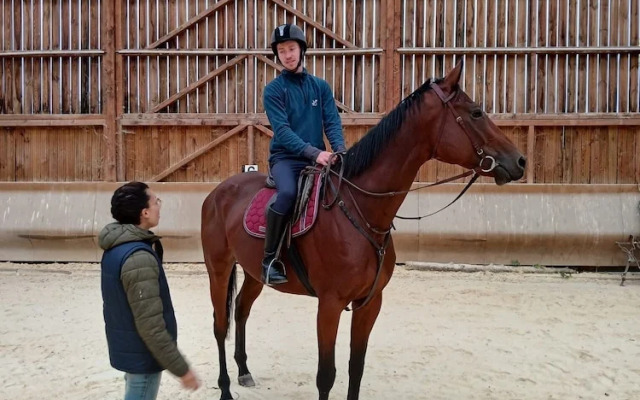 Chateau Tout Y Fault