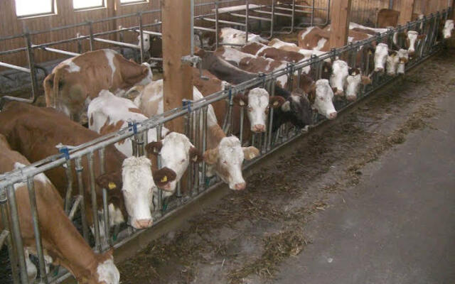 Apart Bauernhof Rosenhof