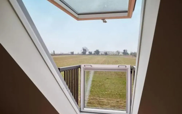 Host Stay Number One Piglets