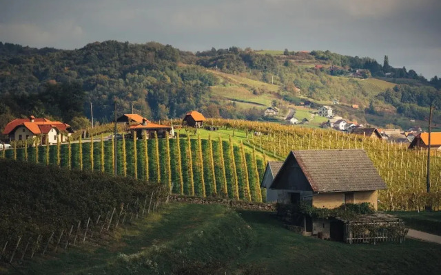 Vineyard Cottage Sunny Hill
