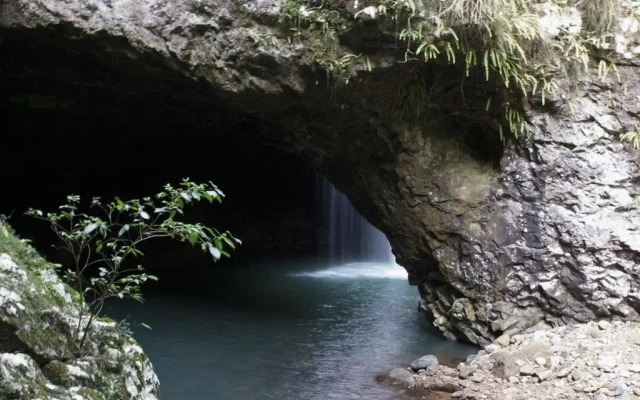 The Sanctuary at Springbrook