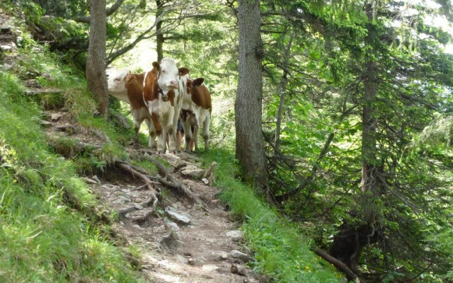 Ferienwohnungen am Westernberg