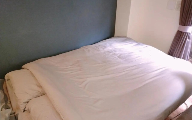 エバーグリーン新宿 リュクス 2m12