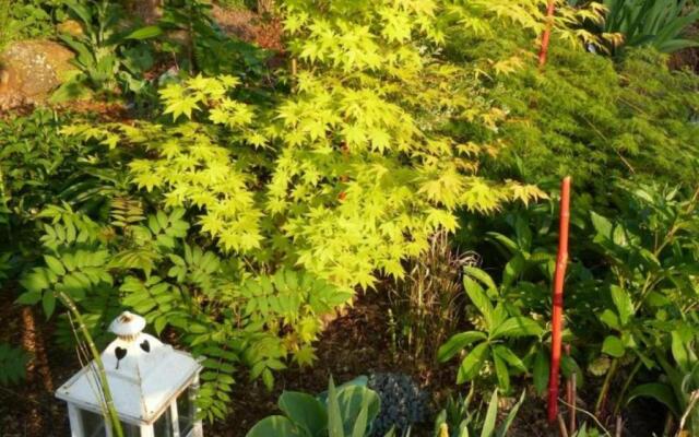 Gîte Sainte-Opportune, 3 pièces, 4 personnes - FR-1-497-35