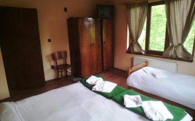 Guest House Bor