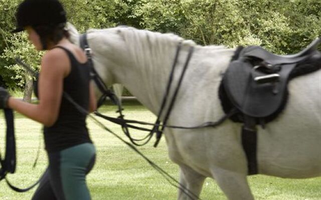 Lucknam Park Hotel & Spa