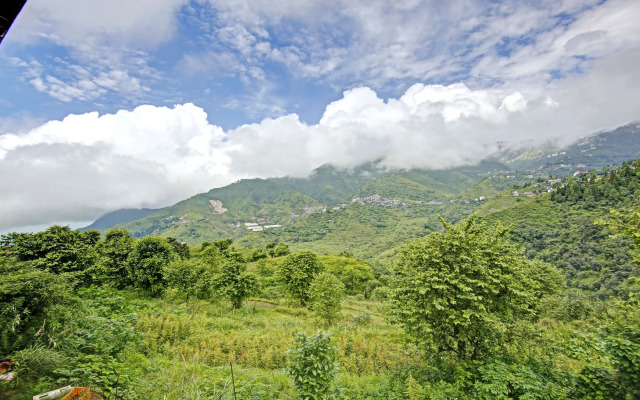 Treebo Trend Winterland